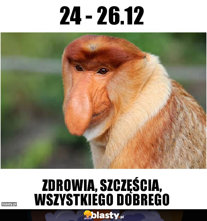 24 - 26.12 24 - 26.12