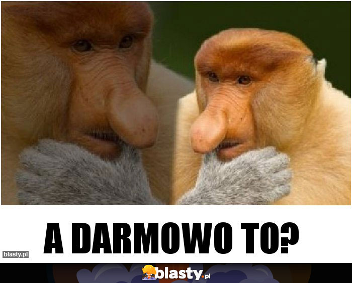 A darmowo to?