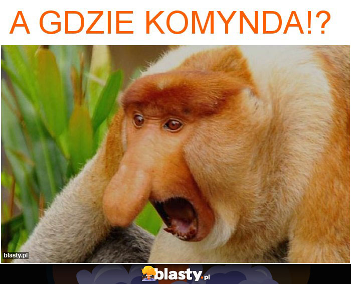 A GDZIE KOMYNDA!?