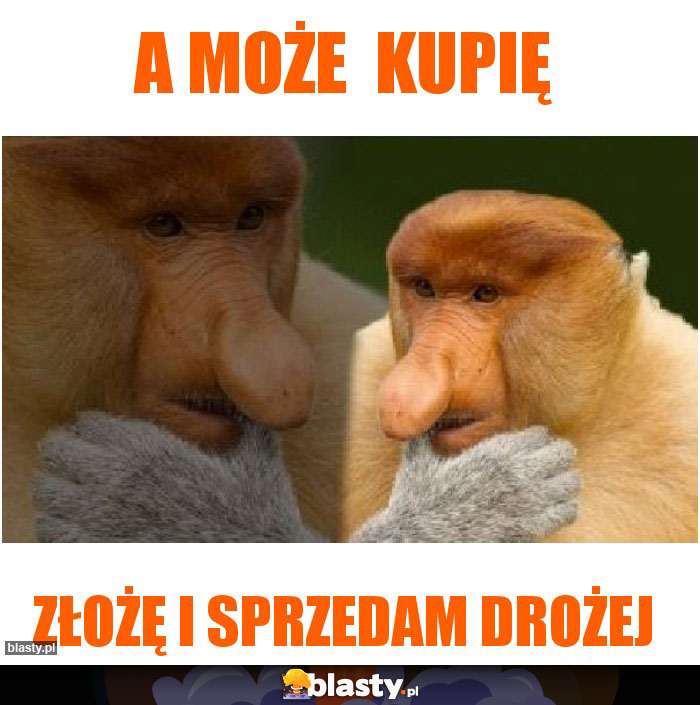 A może  kupię