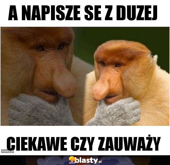 A Napisze se z duzej