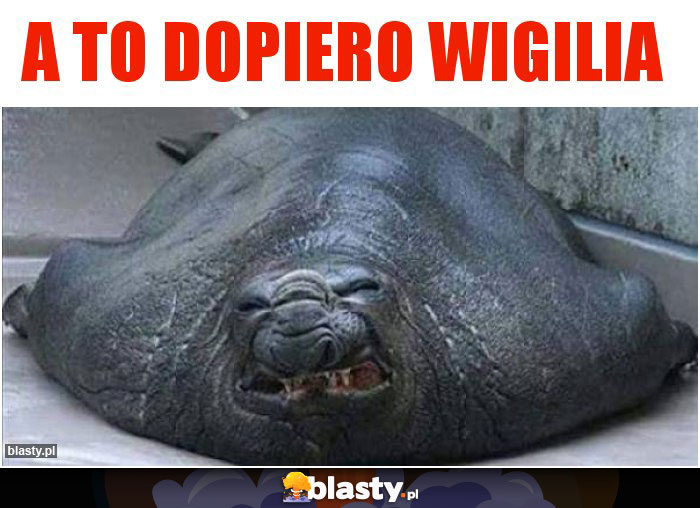 A to dopiero wigilia