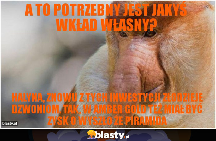 A to potrzebny jest jakyś wkład własny?