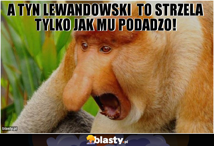 A tyn Lewandowski  to strzela tylko jak mu podadzo!