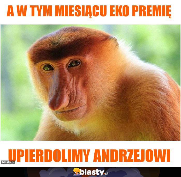 A w tym miesiącu eko premię