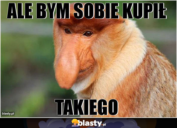 ALE BYM SOBIE KUPIŁ