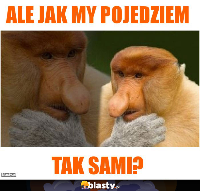 ALE JAK MY POJEDZIEM