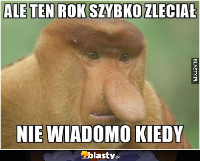 Ale ten rok szybko zleciał - nie wiadomo kiedy