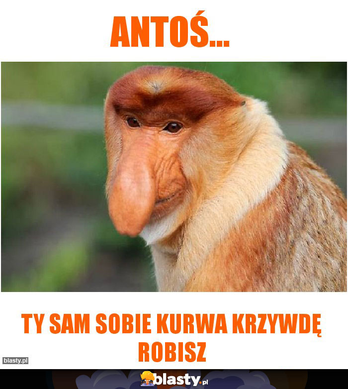 Antoś...