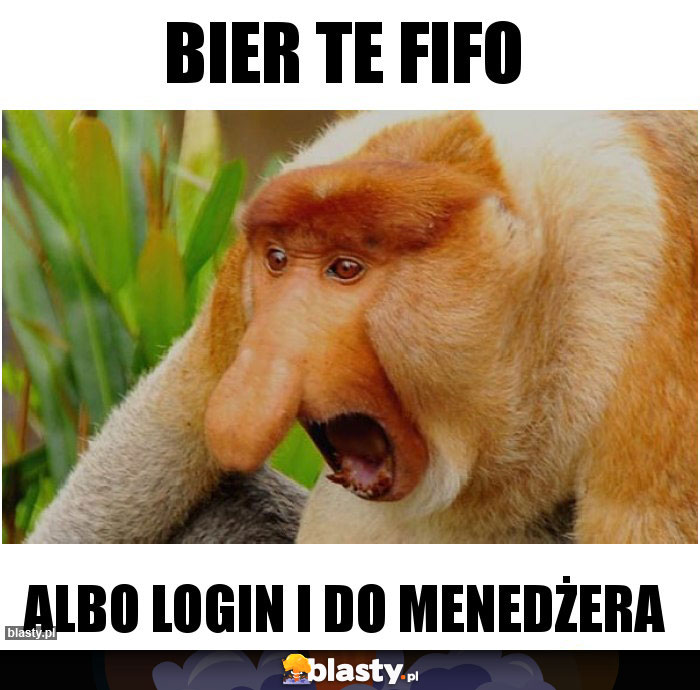 BIER TE FIFO