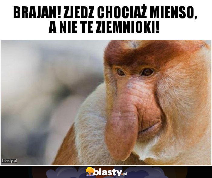 Brajan! Zjedz chociaż mienso, a nie te ziemnioki!