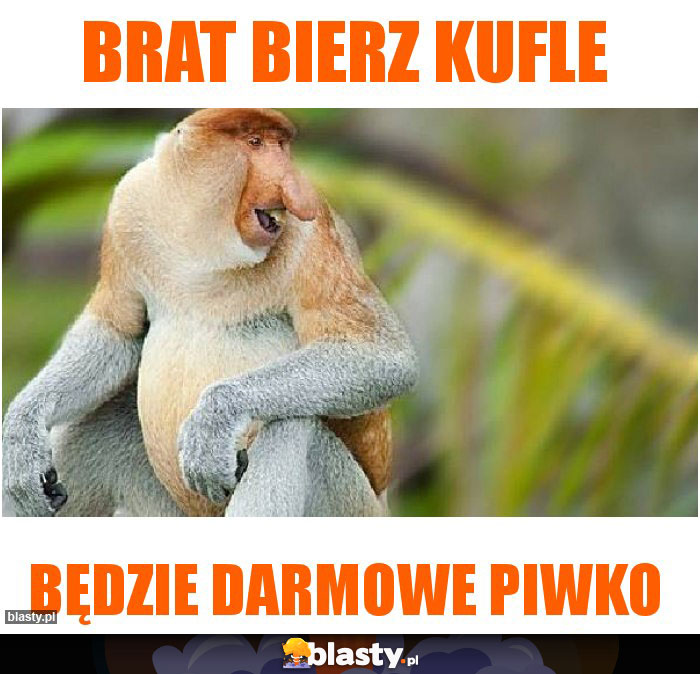 Brat bierz kufle Brat bierz kufle