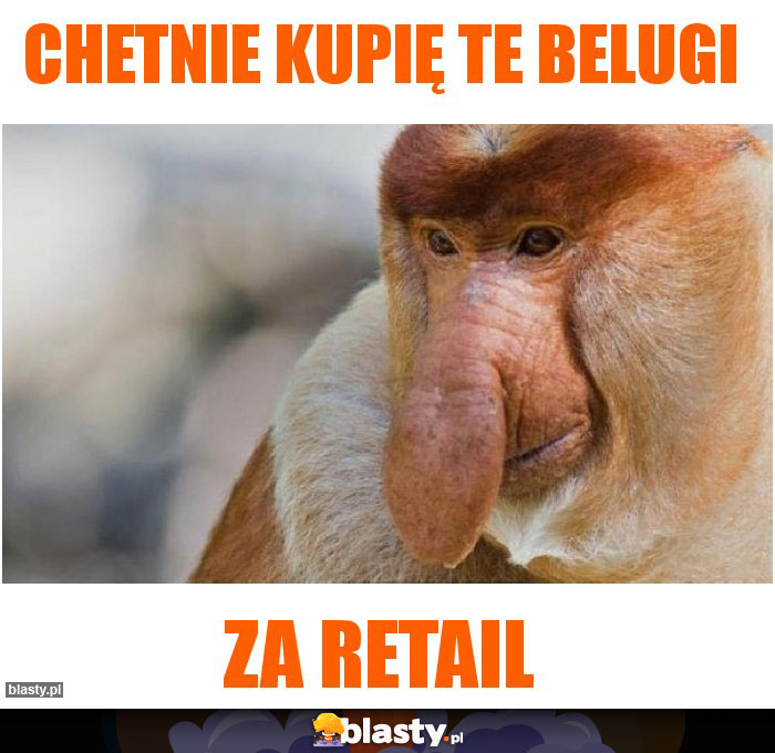 Chetnie kupię te Belugi