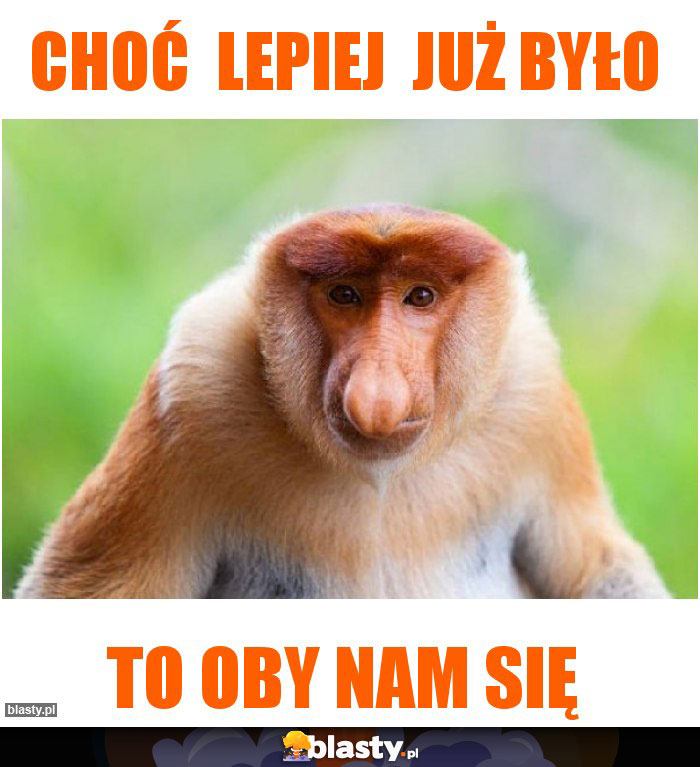 Choć  lepiej  już było