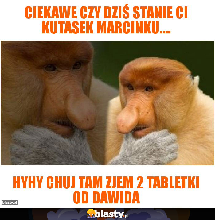Ciekawe czy dziś stanie Ci kutasek Marcinku....