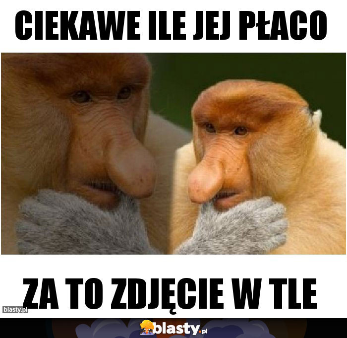 Ciekawe ile jej płaco