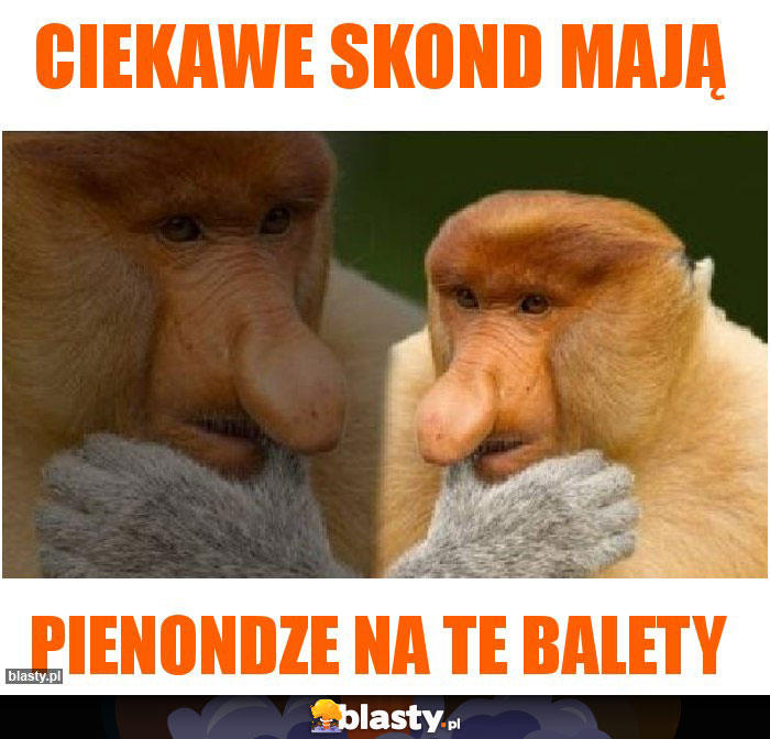 Ciekawe skond mają