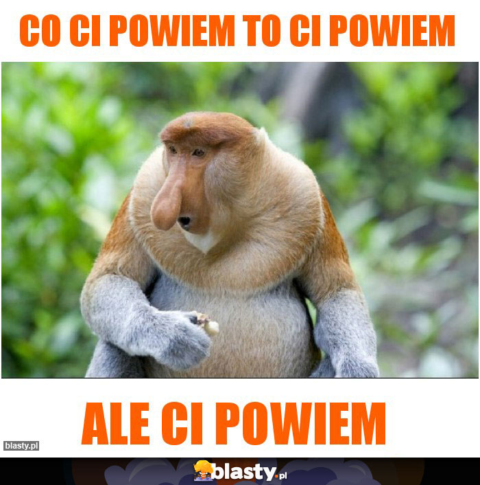 Co ci powiem to ci powiem Co ci powiem to ci powiem