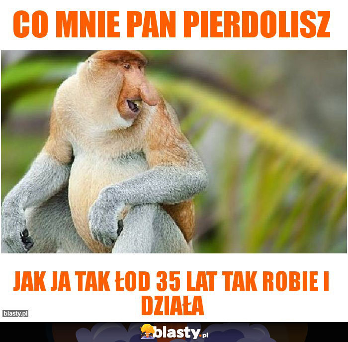 Co mnie pan pierdolisz
