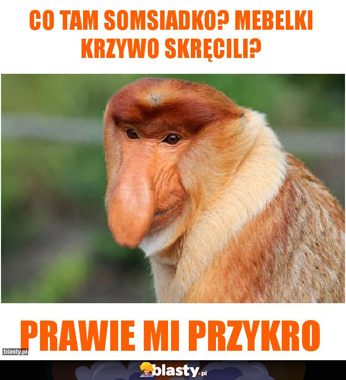 Co tam somsiadko? Mebelki krzywo skręcili?