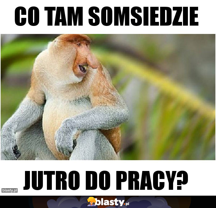 Co tam somsiedzie