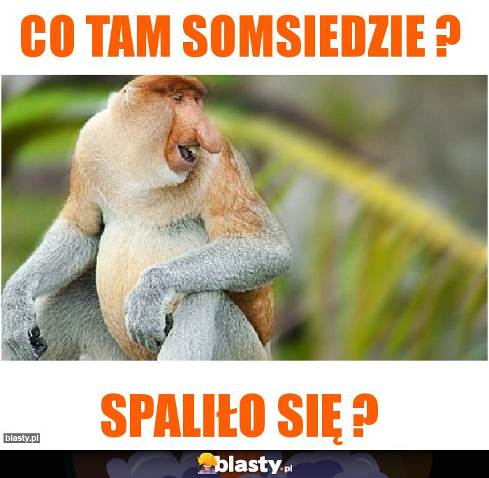 Co tam somsiedzie ?