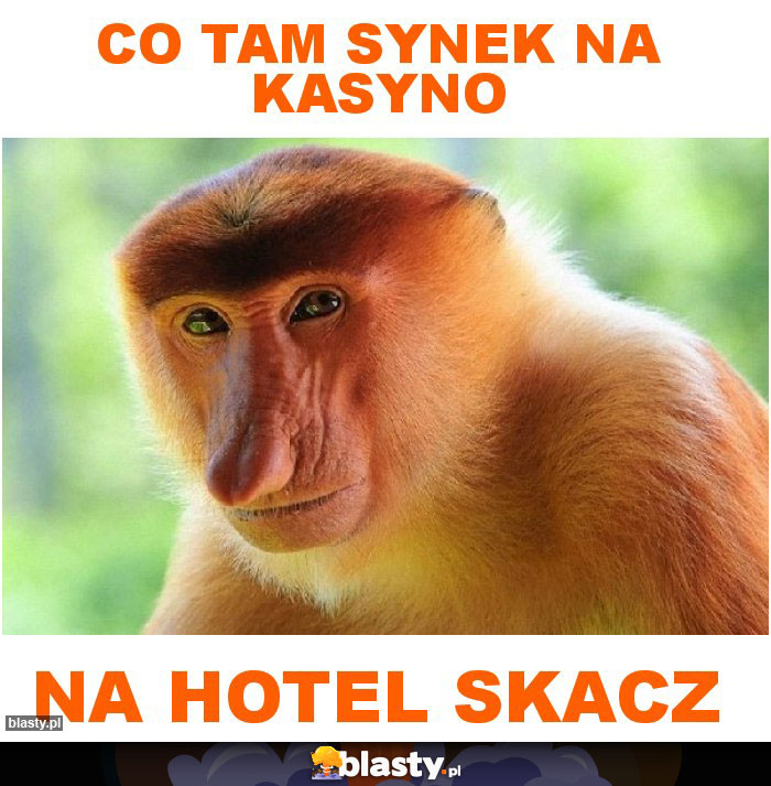 Co tam synek na kasyno