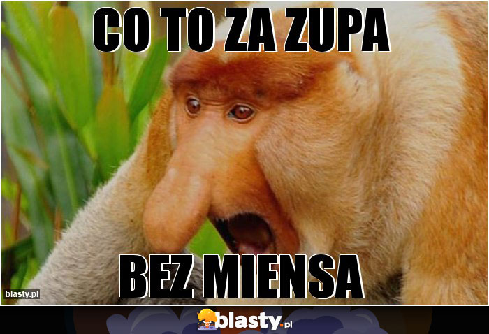 co to za zupa