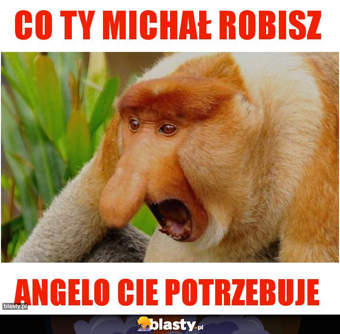 Co ty Michał robisz