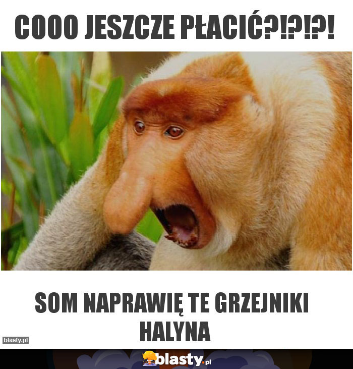 CoOo JESZCZE PŁACIĆ?!?!?!