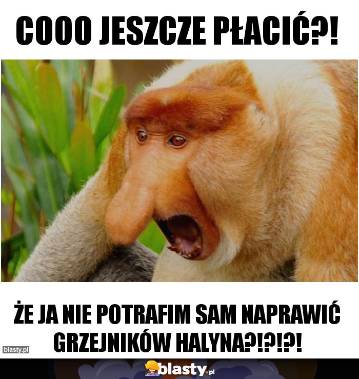 Cooo jeszcze płacić?!