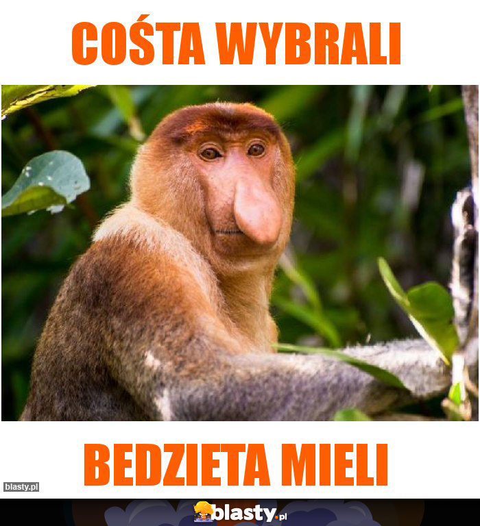 Cośta wybrali