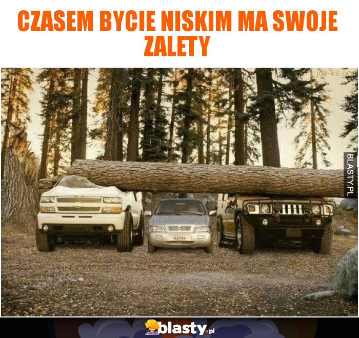 Czasem bycie niskim ma swoje zalety