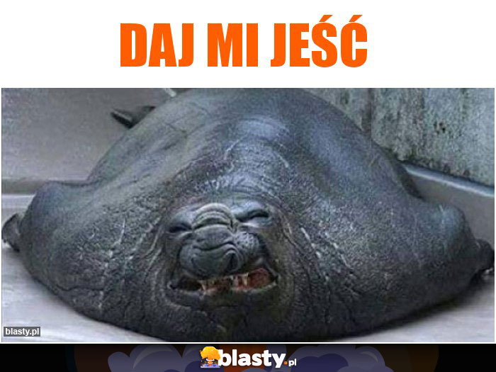 Daj mi jeść
