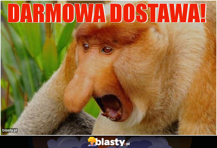 Darmowa Dostawa!