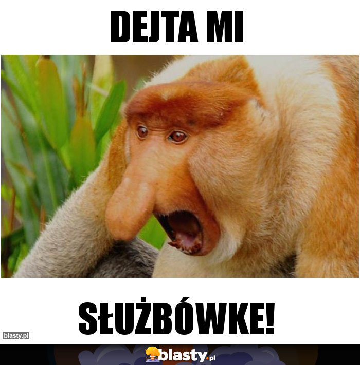 Dejta mi
