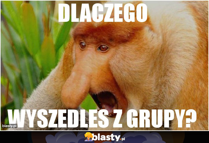 dlaczego