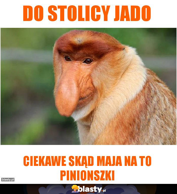 Do stolicy jado