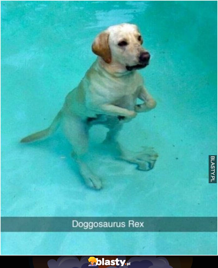 Doggosaurus Rex