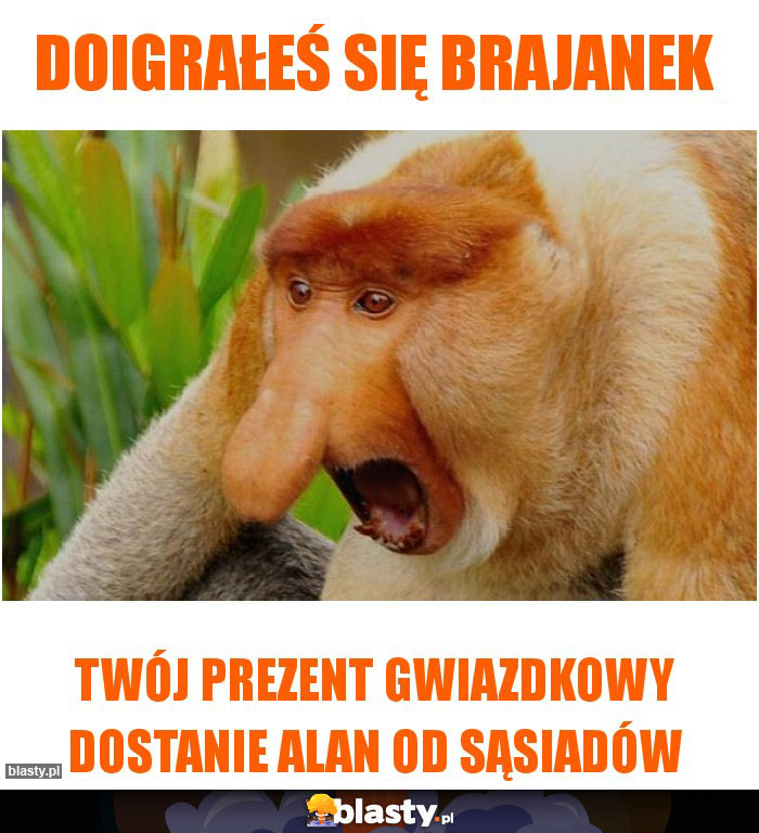 Doigrałeś się Brajanek