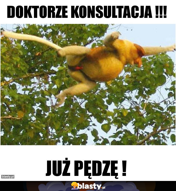 Doktorze konsultacja !!!