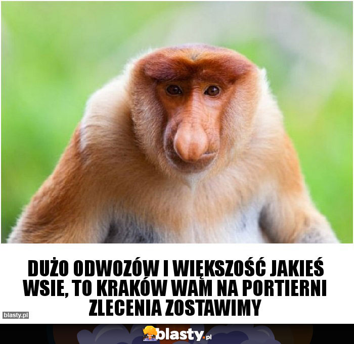 Dużo odwozów i większość jakieś wsie, to Kraków wam na portierni zlecenia zostawimy