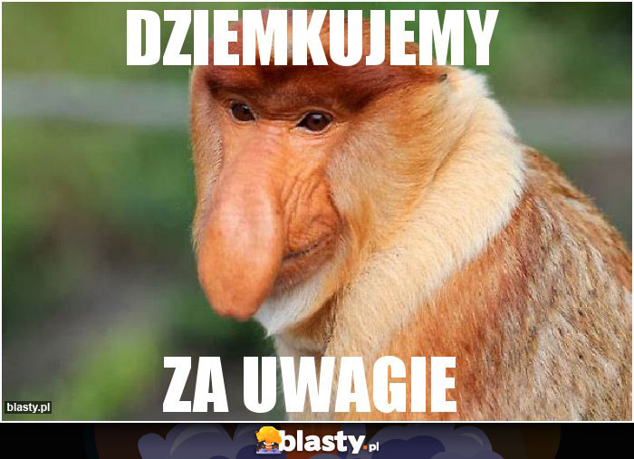 DZIEMKUJEMY