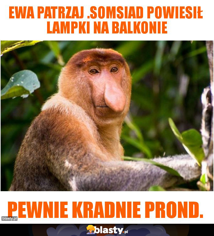 Ewa patrzaj .somsiad powiesił  lampki na balkonie