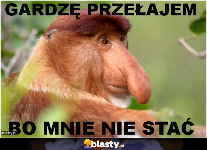 GARDZĘ PRZEŁAJEM