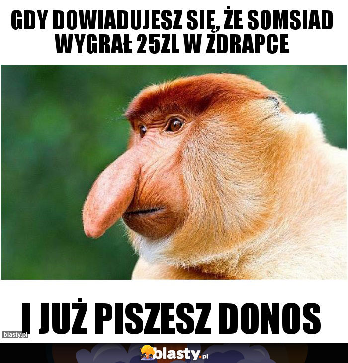 Gdy dowiadujesz się, że somsiad wygrał 25zl w zdrapce Gdy dowiadujesz się, że somsiad wygrał 25zl w zdrapce