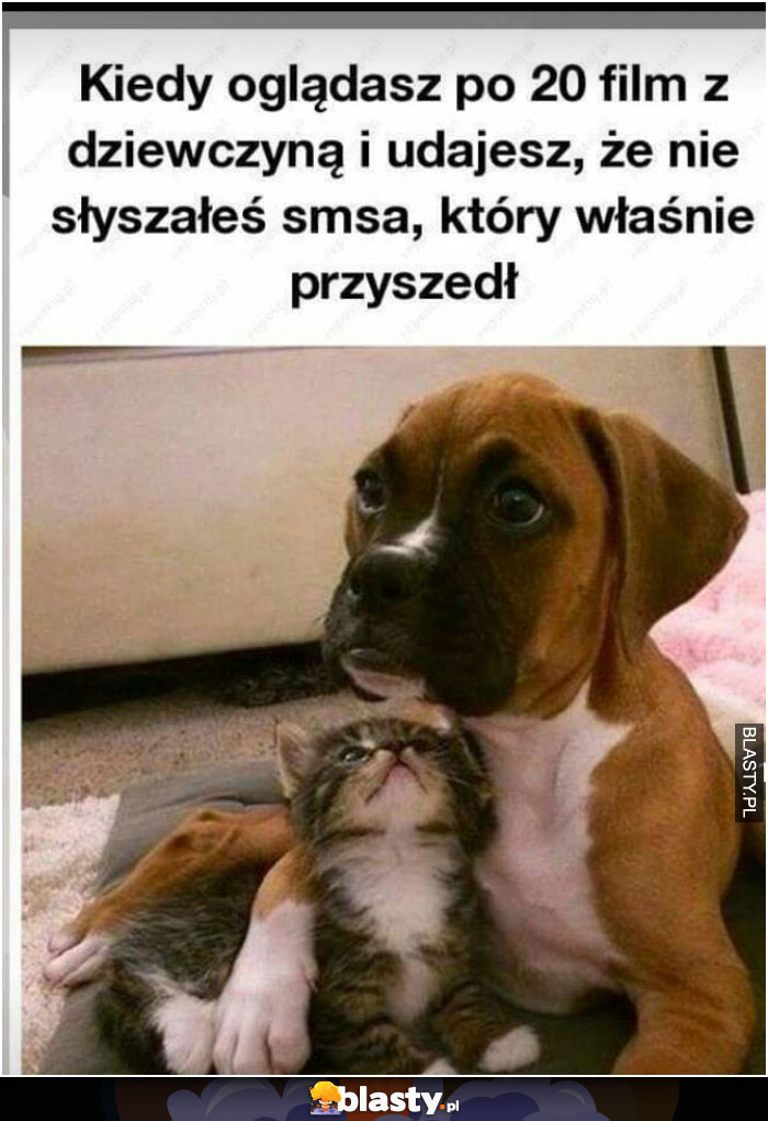 Gdy ogładasz po 20 film z dziewczyną....