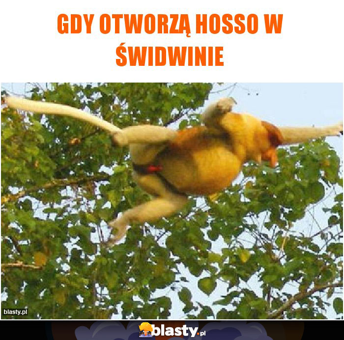 Gdy otworzą Hosso w Świdwinie