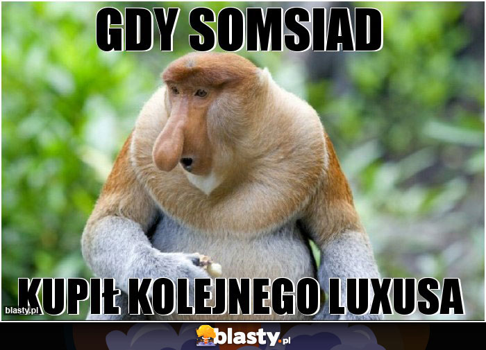gdy somsiad