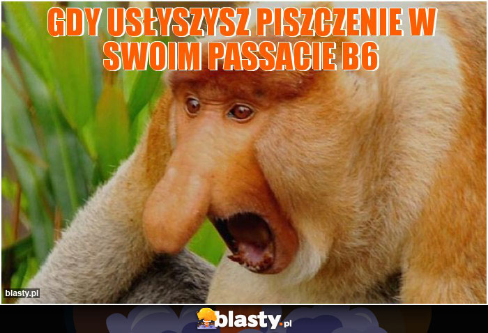 gdy usłyszysz piszczenie w swoim passacie b6